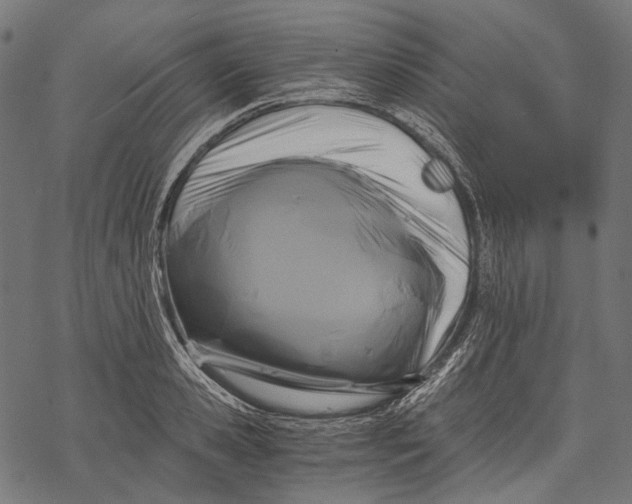 X0000068810941200605261522
