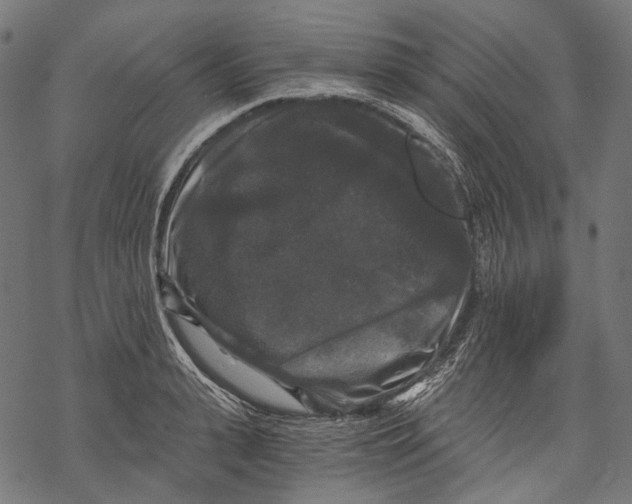 X0000068810943200605261522