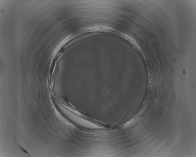 X0000068810946200605261522