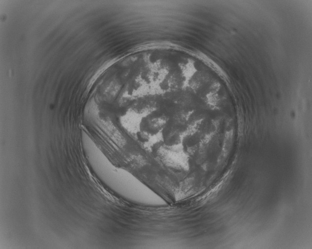 X0000068810953200605261522