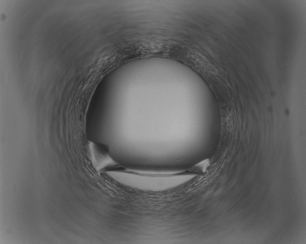 X0000068810961200605261522