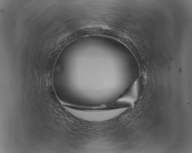 X0000068810965200605261522
