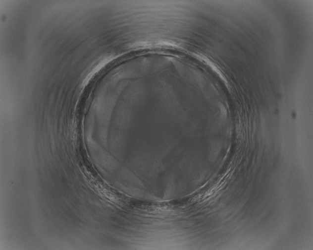 X0000068810975200605261521