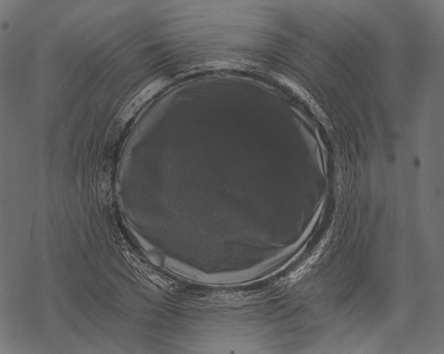 X0000068810977200605261521