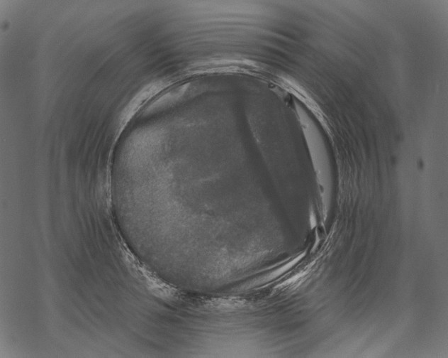 X0000068810994200605261521