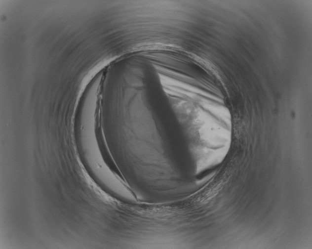 X0000068810995200605261521