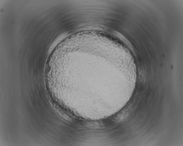X0000068811002200605261521