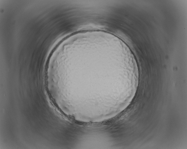 X0000068811008200605261521