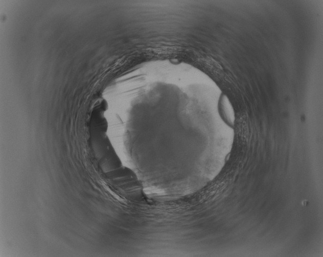 X0000068811009200605261520