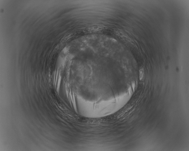 X0000068811011200605261520