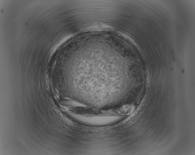 X0000068811018200605261520