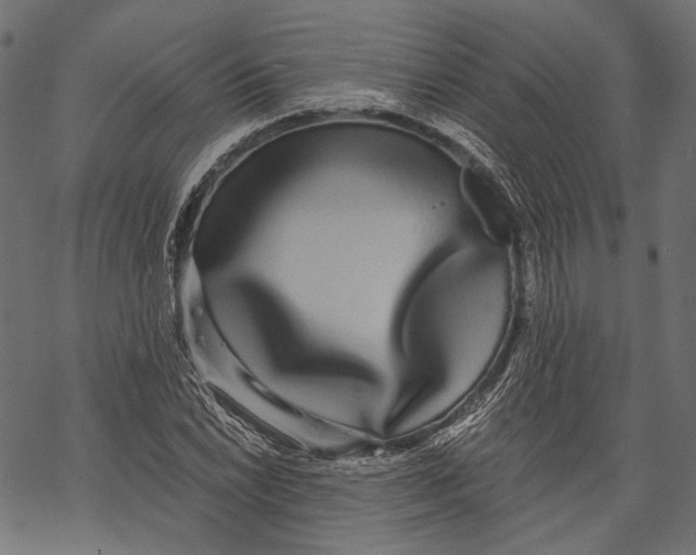 X0000068811022200605261520