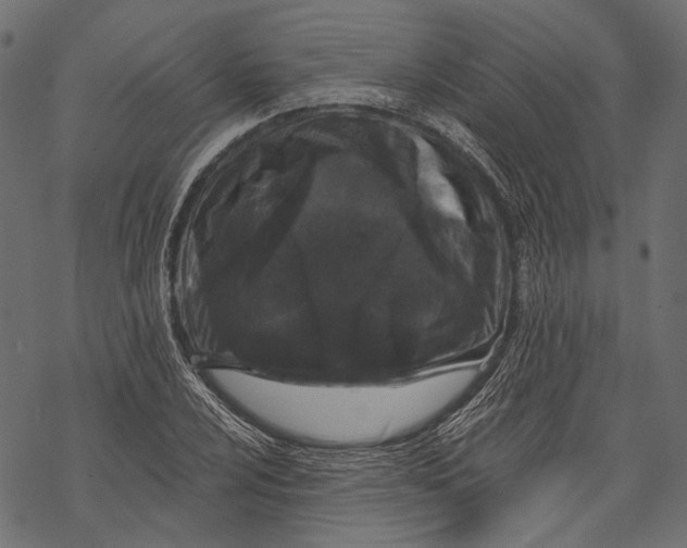 X0000068811024200605261520