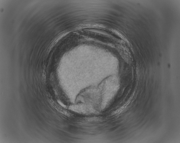 X0000068811025200605261520