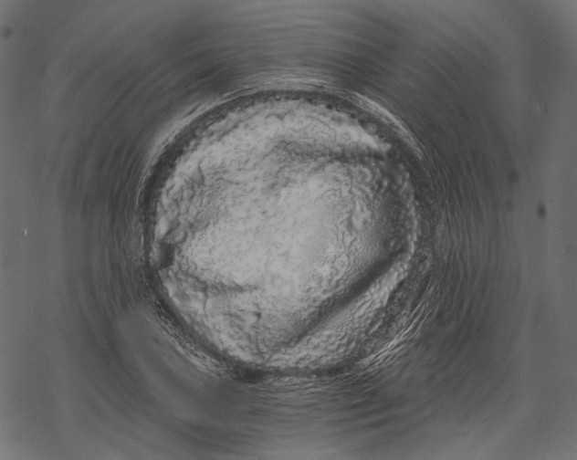 X0000068811027200605261520