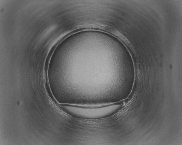 X0000068811028200605261520