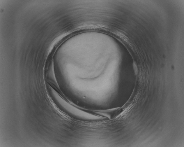 X0000068811030200605261520