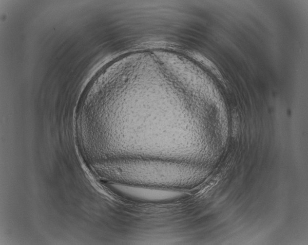 X0000068811039200605261521