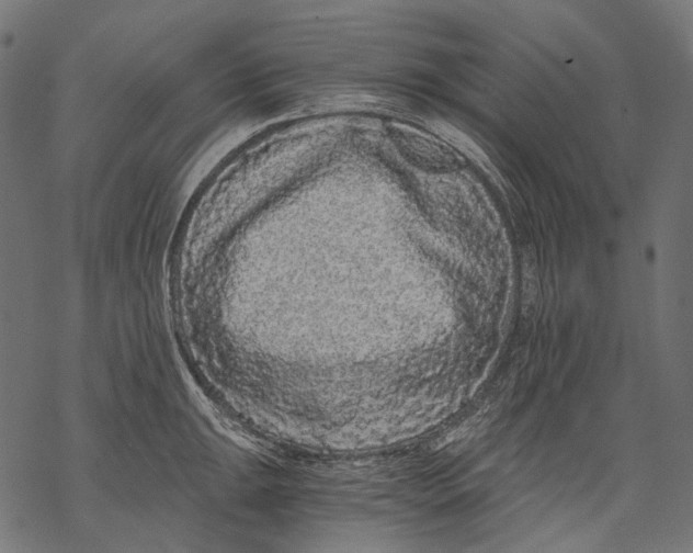 X0000068811047200605261521