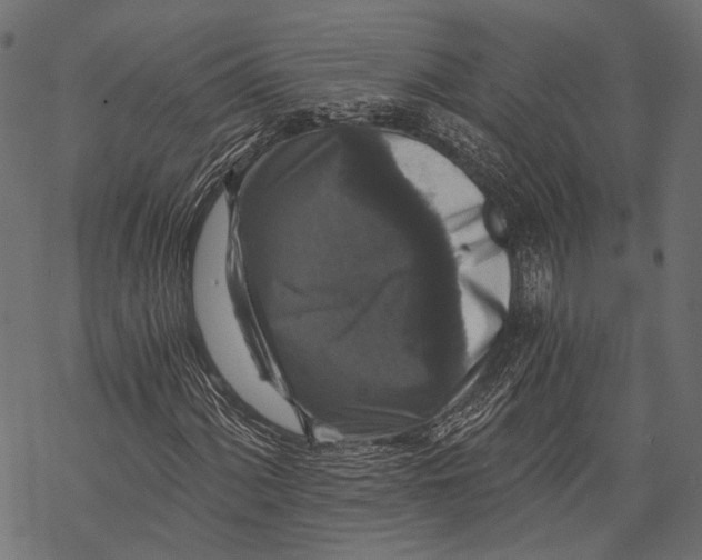 X0000068811060200605261520