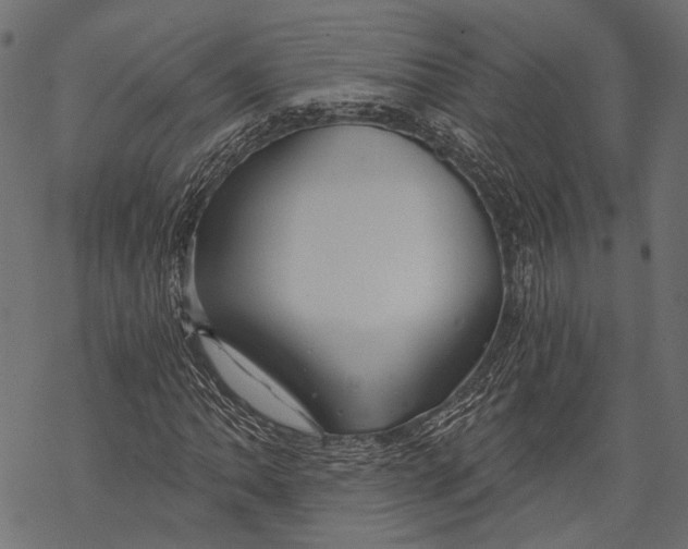 X0000068811062200605261520