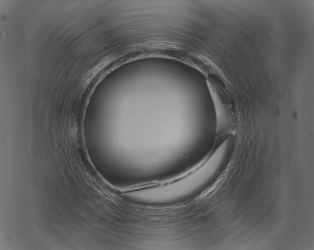 X0000068811065200605261520
