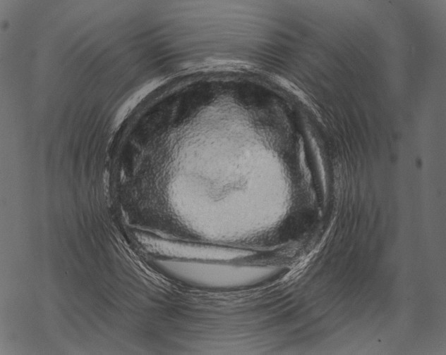 X0000068811066200605261520