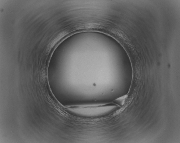 X0000068811073200605261520