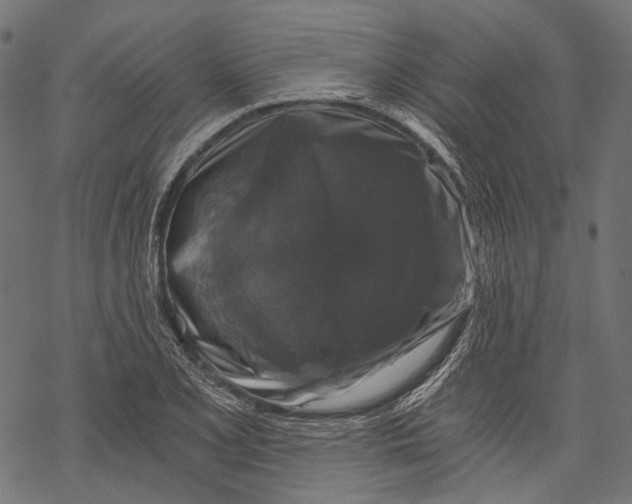 X0000068811077200605261520