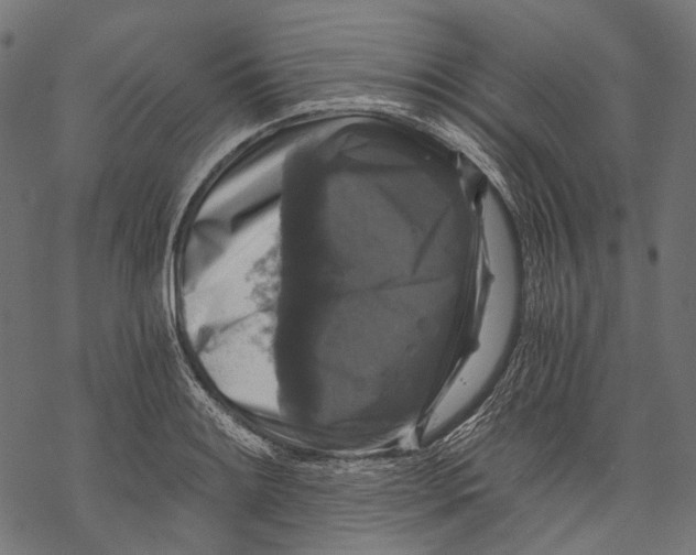 X0000068811084200605261520
