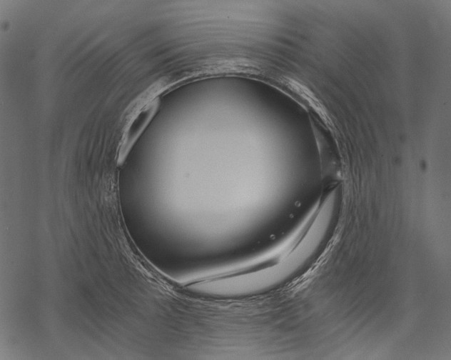 X0000068811089200605261520