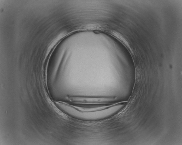 X0000068811091200605261520