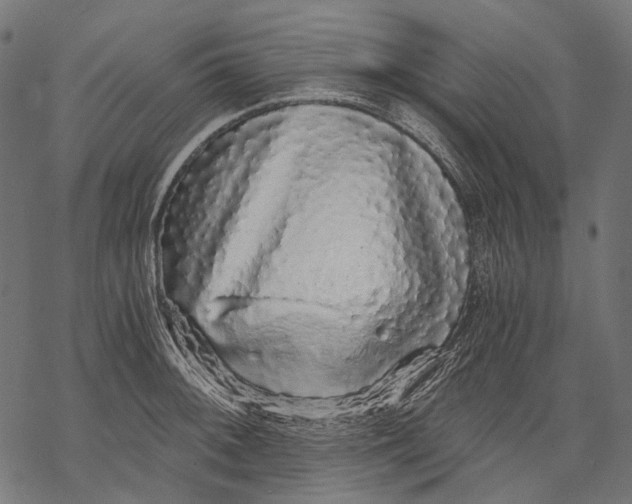 X0000068811092200605261519