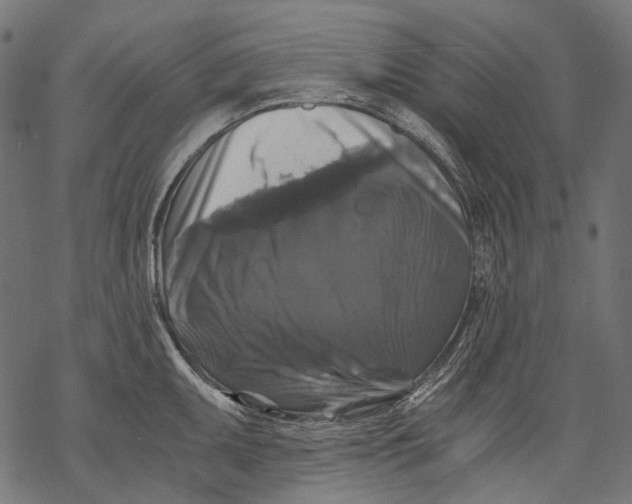 X0000068811095200605261519