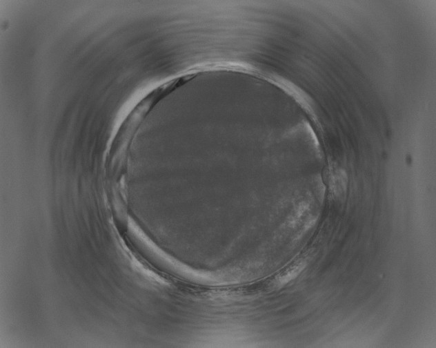 X0000068811102200605261519