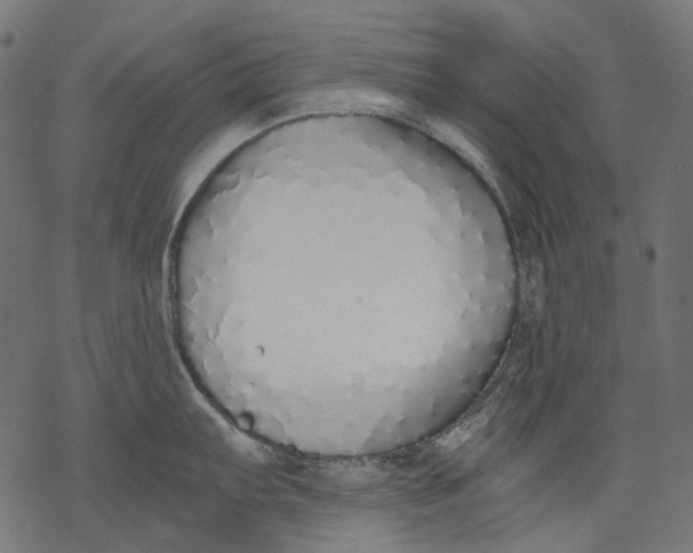 X0000068811103200605261519