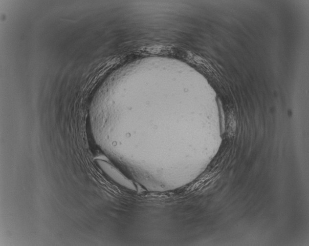 X0000068811105200605261519