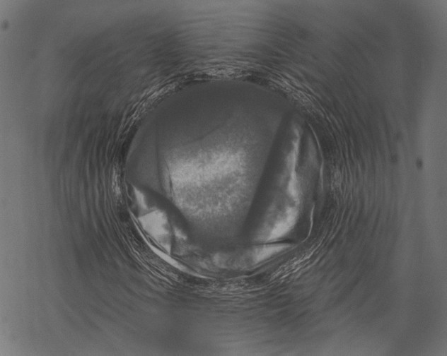 X0000068811106200605261519