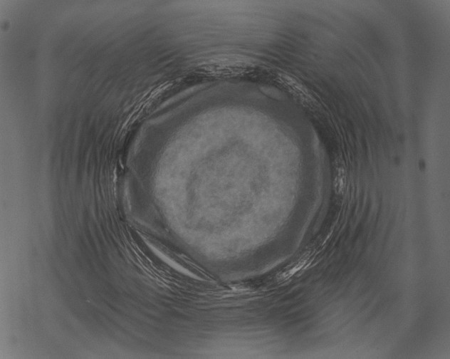 X0000068811108200605261519