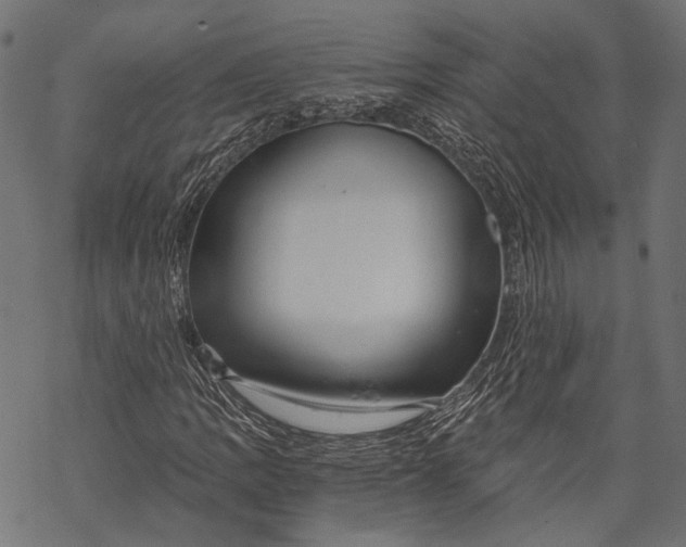 X0000068811109200605261519