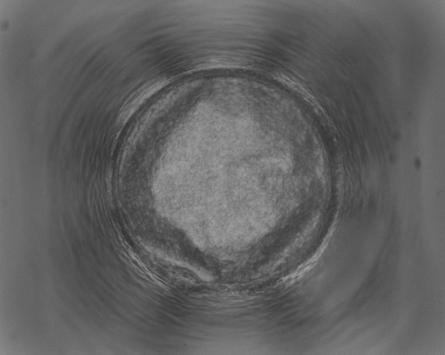 X0000068811121200605261519