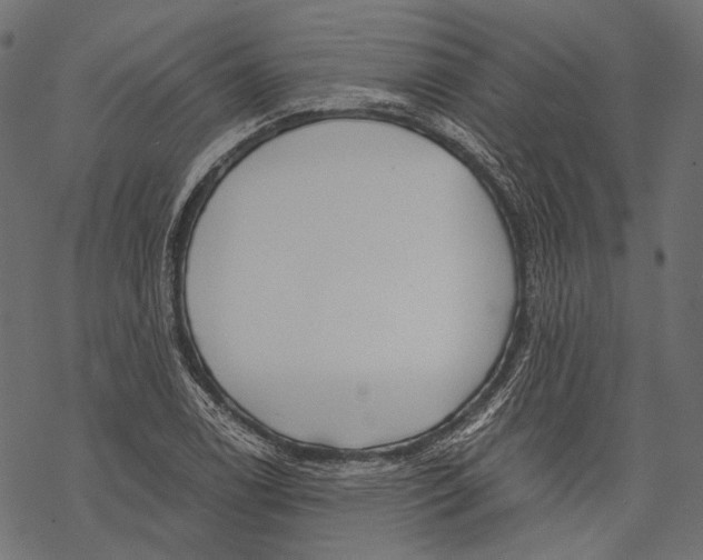 X0000068811122200605261519