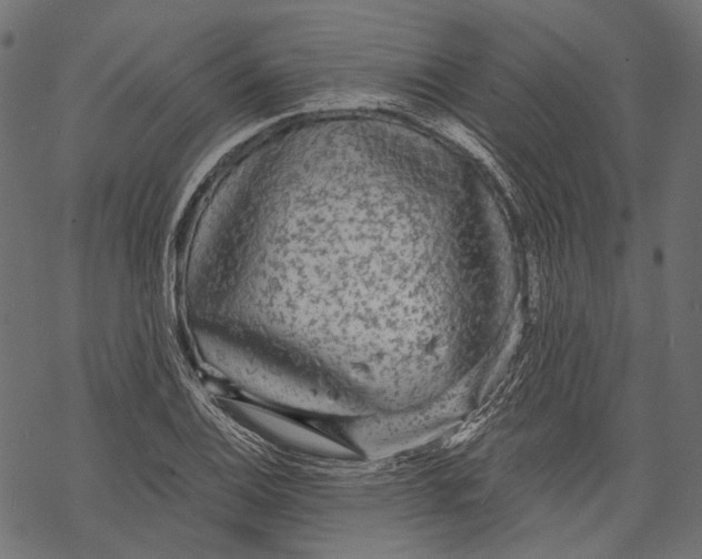 X0000068811124200605261519