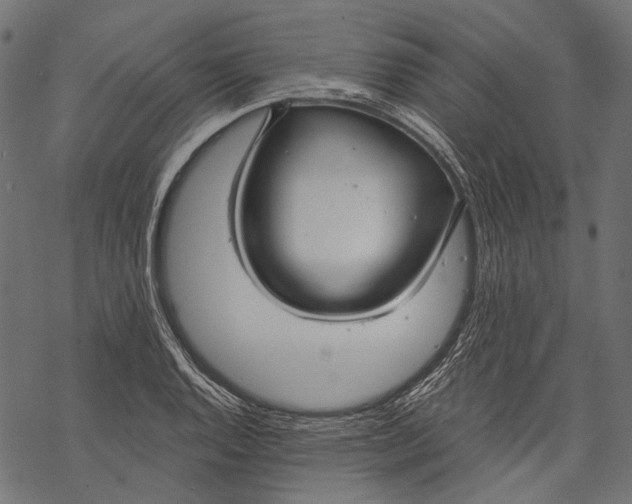 X0000068811128200605261519