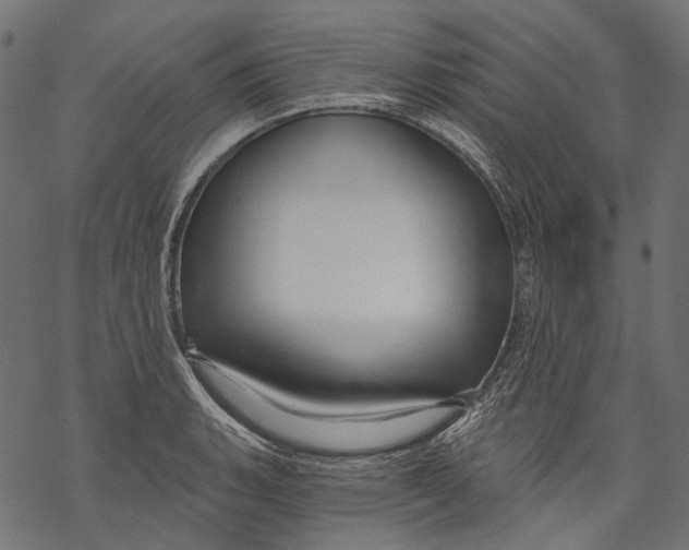 X0000068811135200605261519