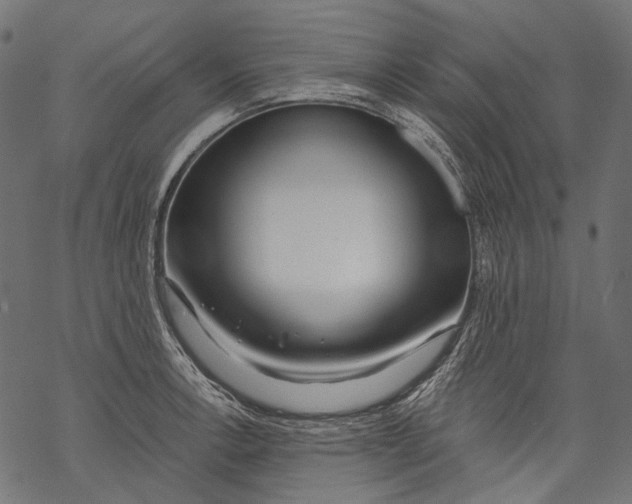 X0000068811138200605261519