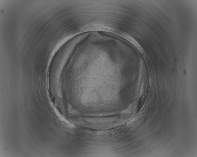 X0000068811144200605261519