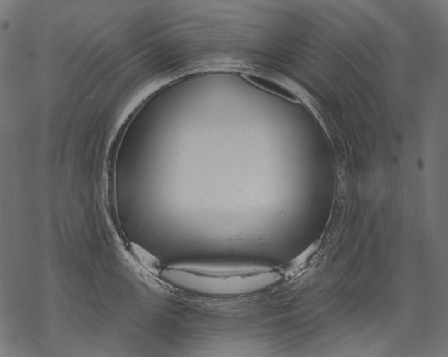 X0000068811147200605261519