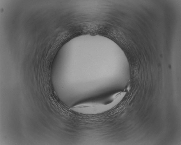 X0000068811153200605261519