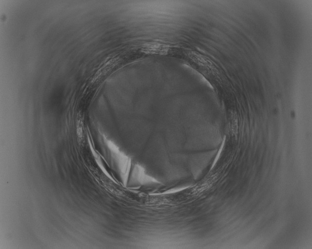 X0000068811154200605261518